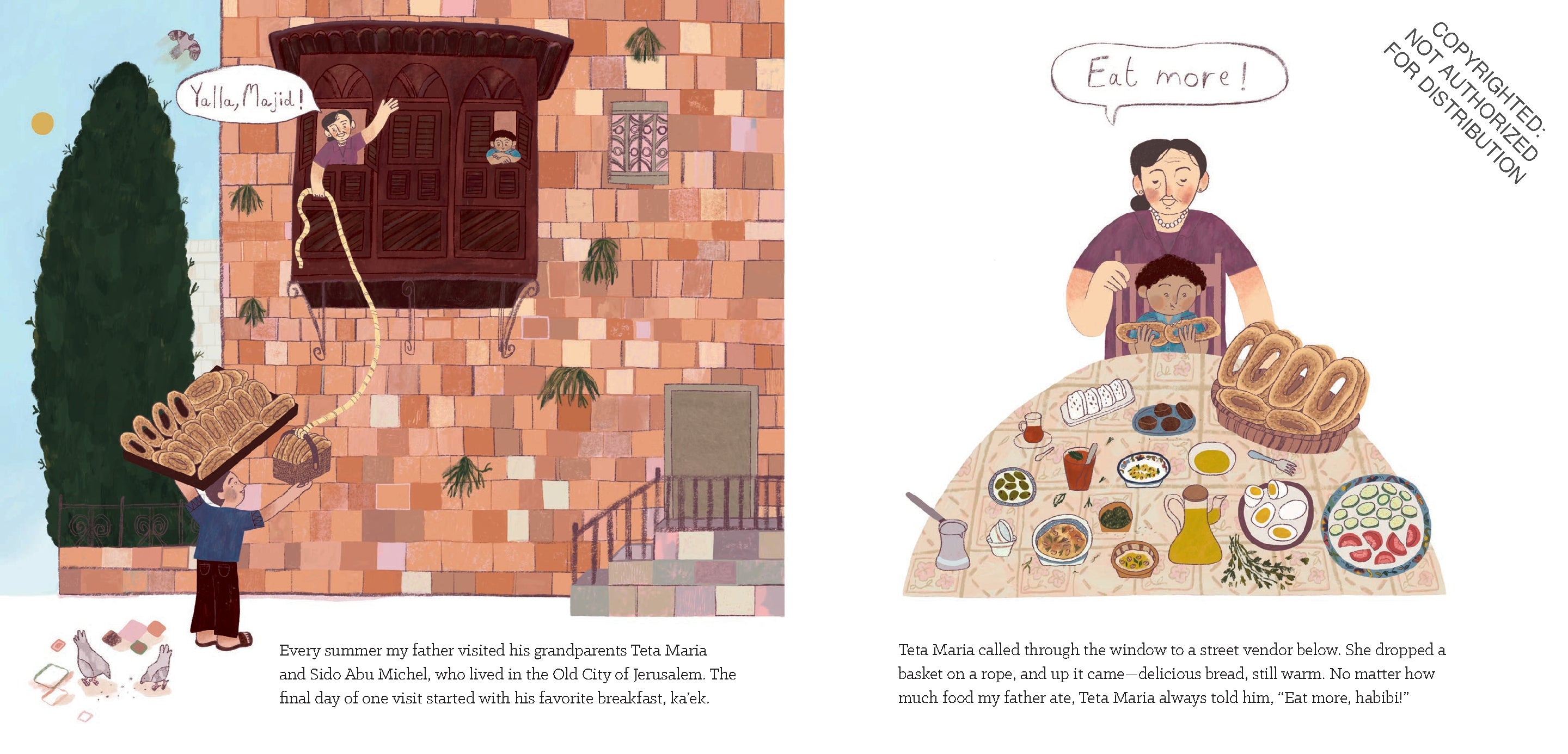 Homeland: My Father Dreams of Palestine by Hannah Moushabeck, illustrated by Reem Madooh